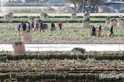 외국인 농업근로자 역대 최대규모…기숙사 20곳 짓는다