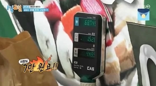 KBS 방송화면 캡처