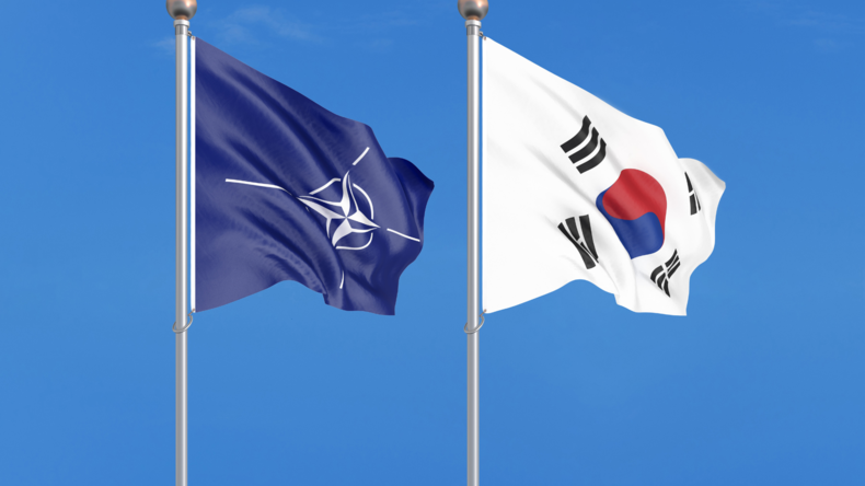 (왼) 북대서양조약기구(NATO) 깃발, (오) 대한민국 국기 /출처: sns