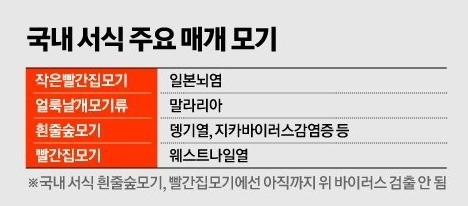 자료:질병관리청