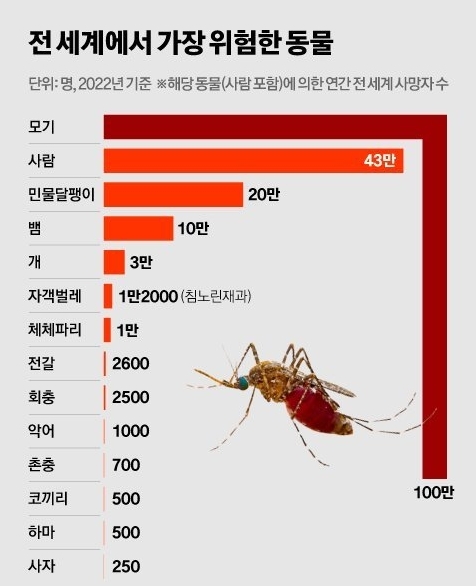 자료:스태티스타