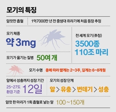 자료: 이동규 교수