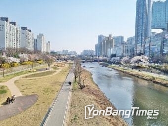위 사진은 본 기사 내용과 상관없습니다.