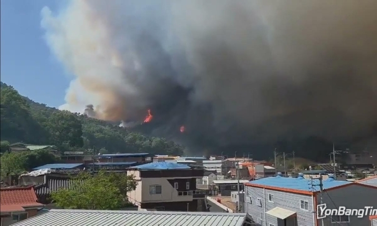 대구 북구 함지산 산불 부분 재발화…
