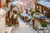하나투어, 벚꽃 여행은 지금! "손꼽아 기다린 봄, 일본" 기획전 진행
