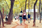 서초구, 서초 산책길 브랜드 '서초행복길' 새단장