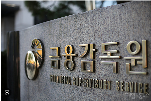 ▲금감원은 사모 CB 발행기업 및 한계기업 등 불공정거래 발생 위험도가 높은 사례를 선별·모니터링하고 집중 조사할 예정이다. <사진=눈>