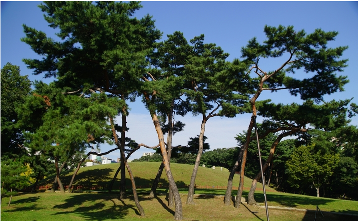 ▲조선왕릉 선릉 재실과 숲길에서 오는 3월 11~18일 '선릉에서 만나는 한복 입기' 행사가 열린다. 사진은 선릉. <사진=문화재청 제공>