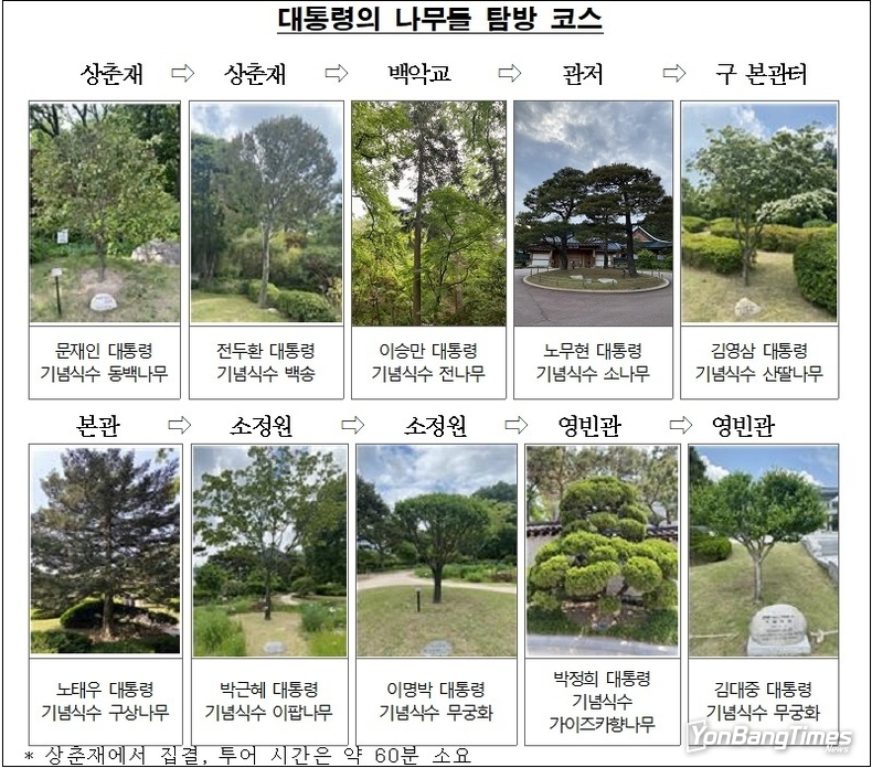 ‘대통령의 나무들’ 숨은 이야기…청와대 특별탐방 운영