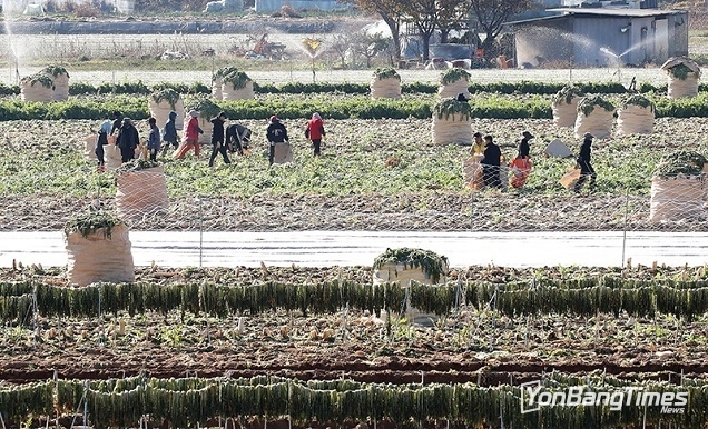 외국인 농업근로자 역대 최대규모…기숙사 20곳 짓는다