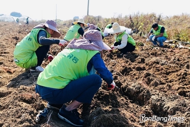 농번기 안정적 인력 공급 지원…공공형 계절근로 3배 이상 확대