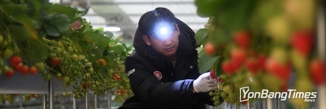 내년까지 청년농업인 2만 3000명 육성…영농정착지원사업 확대