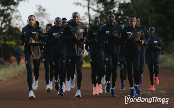 The dsm-firmenich Running Team